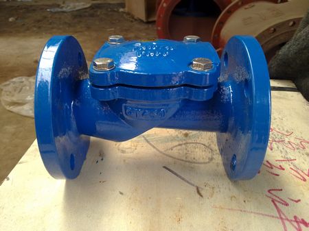 Rubber Check Valve